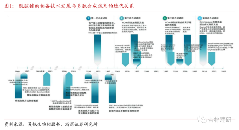 合肥多肽合成